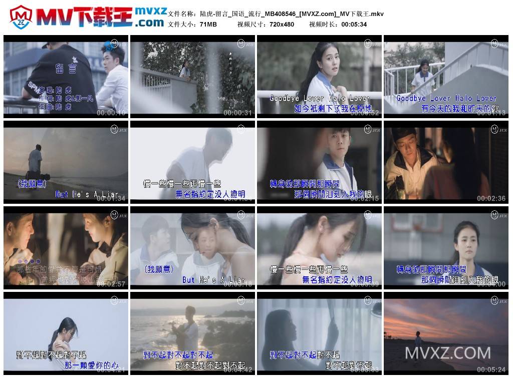 陆虎-留言_国语_流行_MB408546